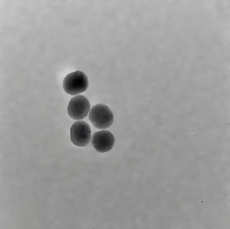 PEG-氨基修饰上转换纳米颗粒